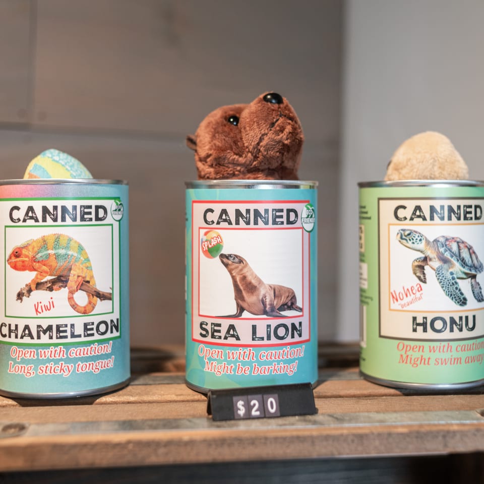 Three colorful novelty animal cans labeled chameleon, sea lion, and honu sit on a wooden shelf, priced at $20.